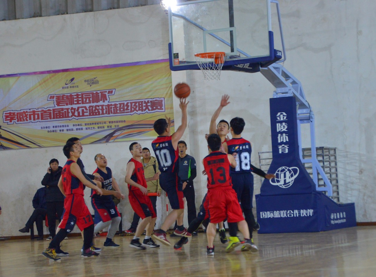 热血对决！全明星赛上演激烈角逐，场面壮观的简单介绍