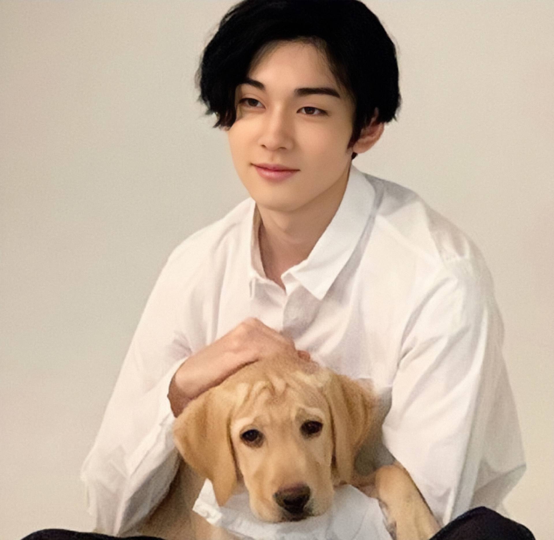 日本名门锦标可期，实力夺冠引人瞩目的简单介绍