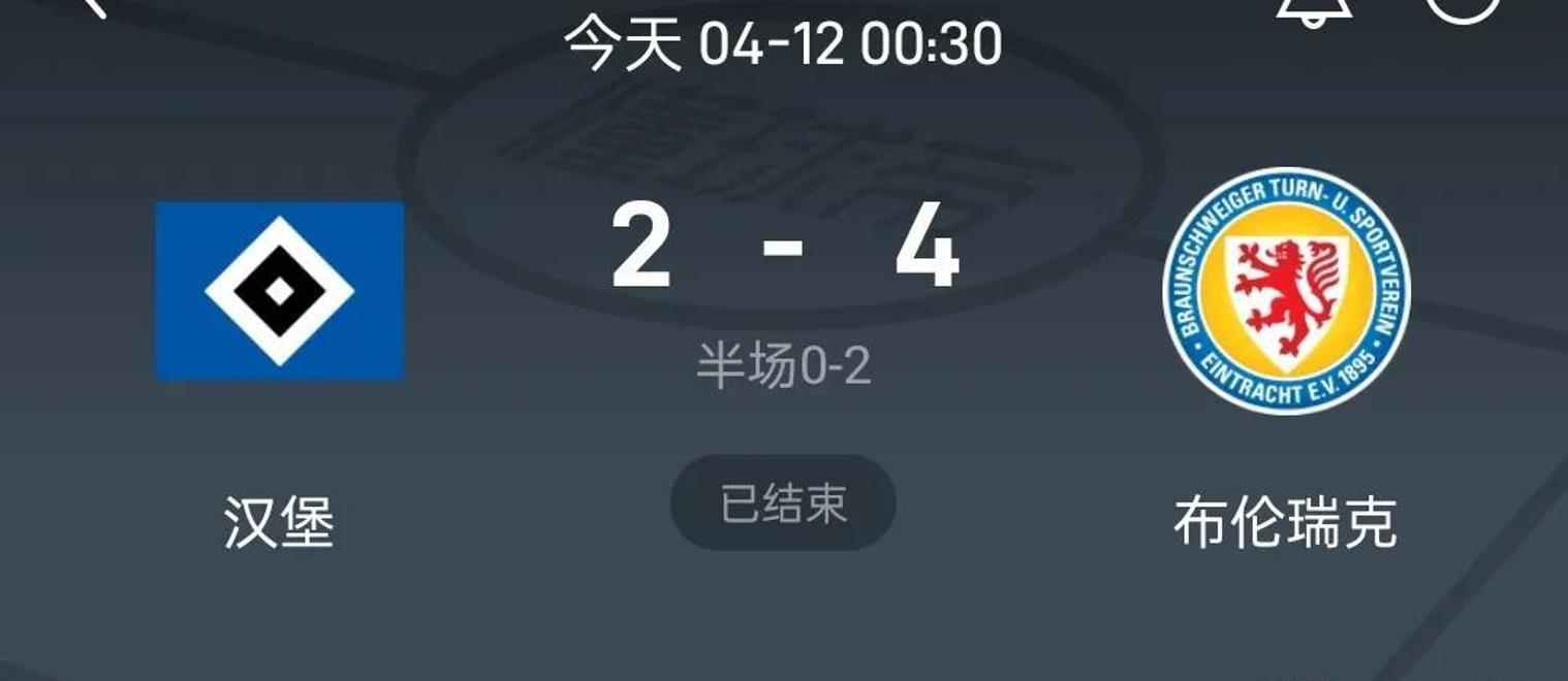 关于汉堡遭遇连败，跌至积分榜中下游的信息