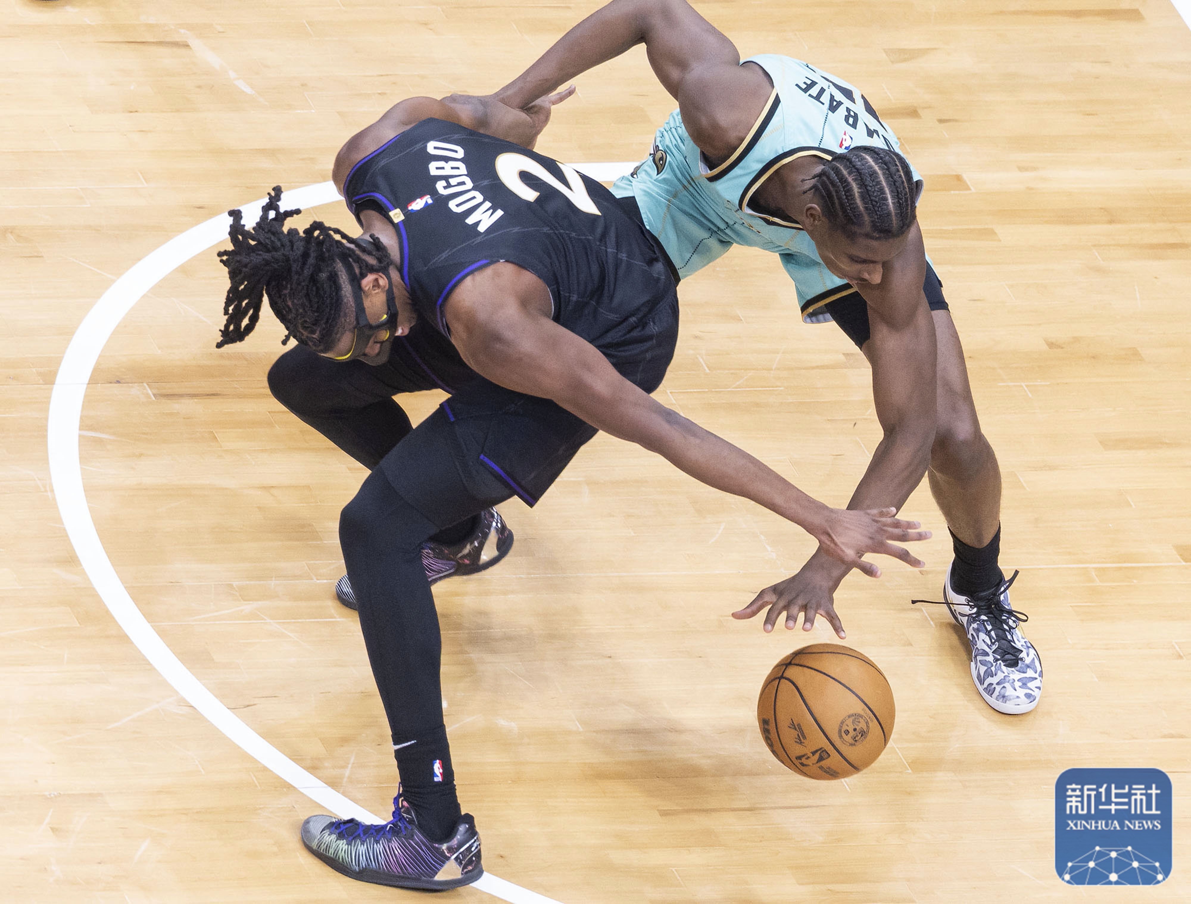 包含猛龙队发挥不俗，实力逐渐暴露的词条