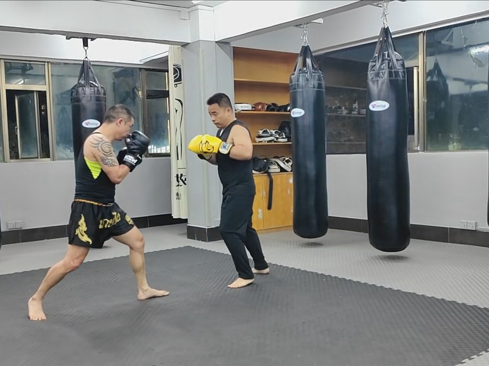 哥伦比亚队在拳击比赛中晋级