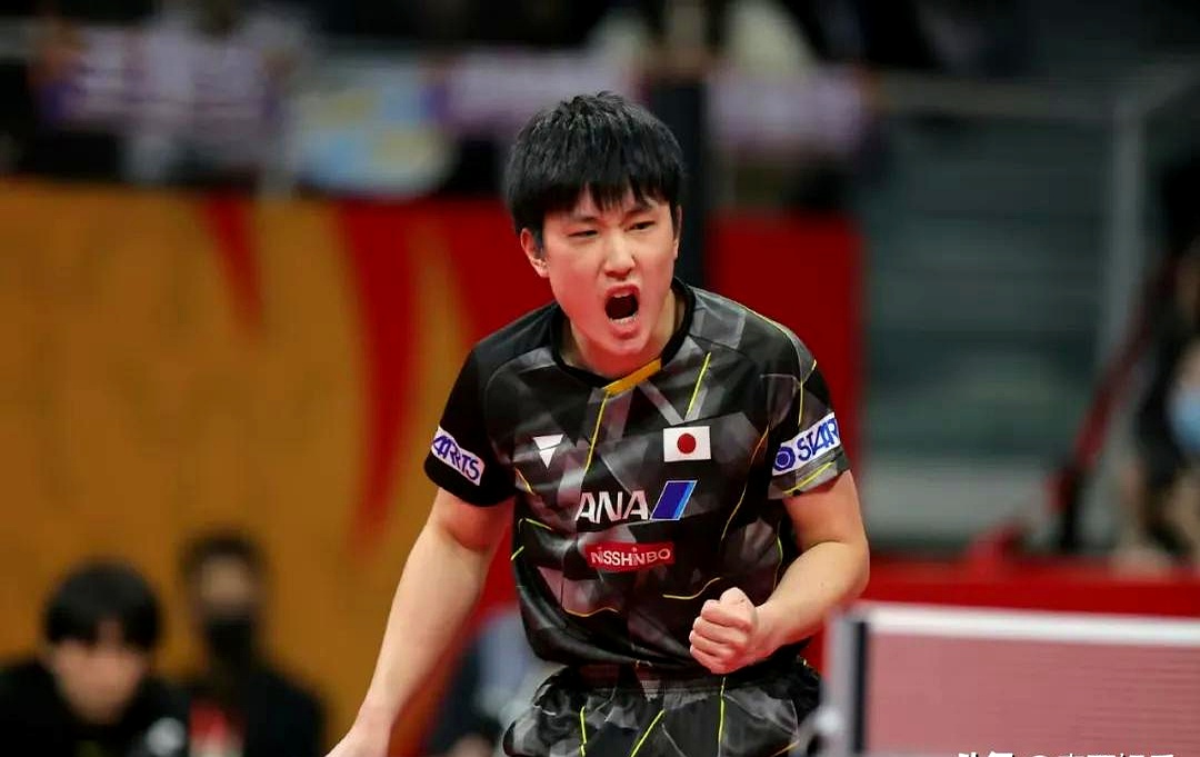 日本乒乓球队碾压波兰乒乓球队，张本智和制霸全场的简单介绍