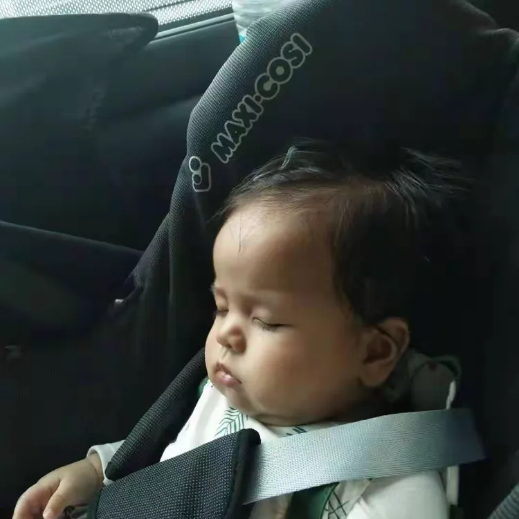 意大利运动员出击得当，收获满满