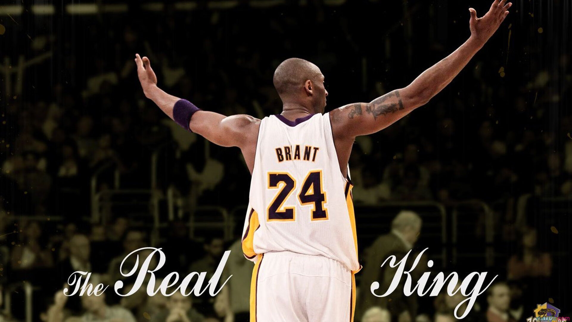 双城记，当绿茵场的心跳照亮篮球馆的绝杀—欧冠与NBA双重心跳之夜