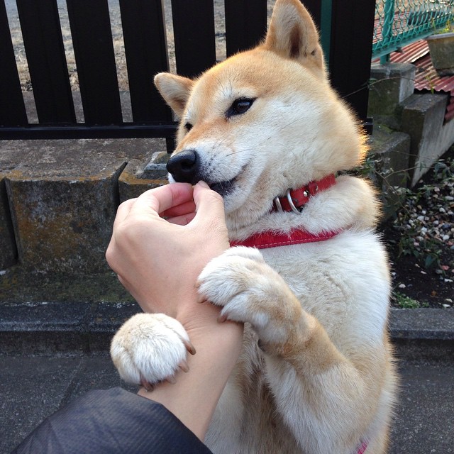 少年骑士，欧冠半决赛之夜，卡马文加末节接管比赛