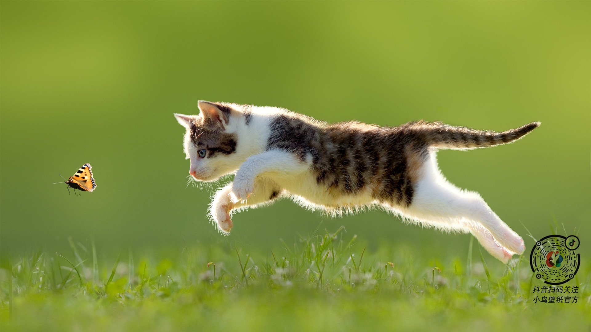 篮球无疆界,当欧文让京城防线变迷宫