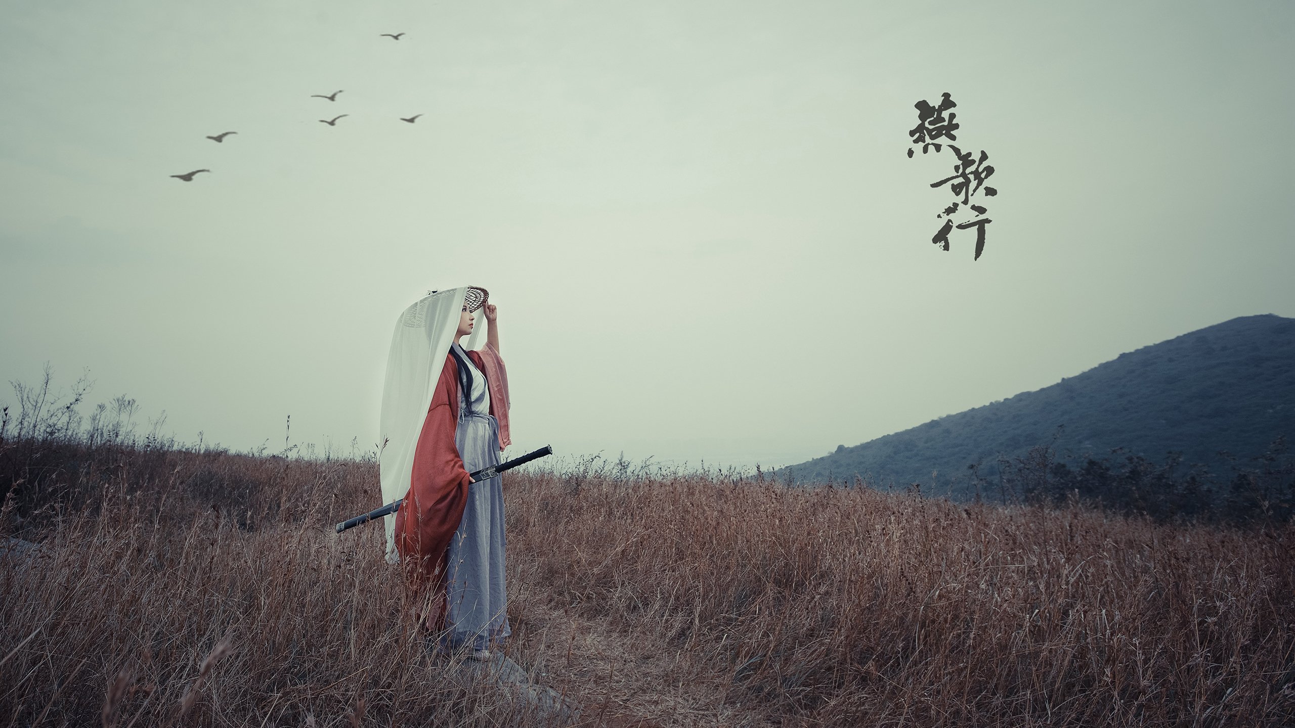 太阳的加冕与未来的王权，从凤凰城到2026世界杯的传奇接棒