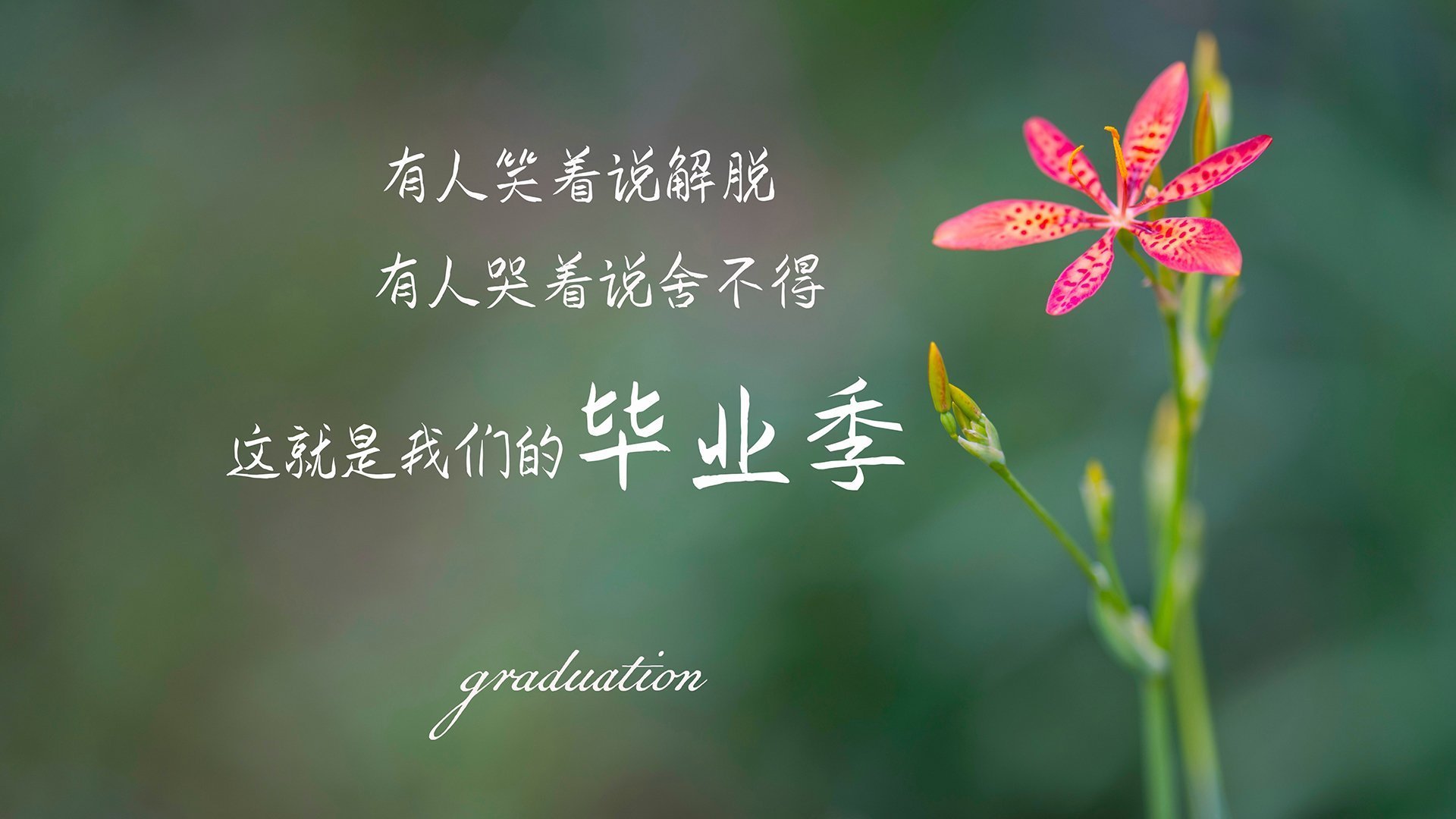 闪耀东决关键战之夜！杰伦格林，天生为大场面而生