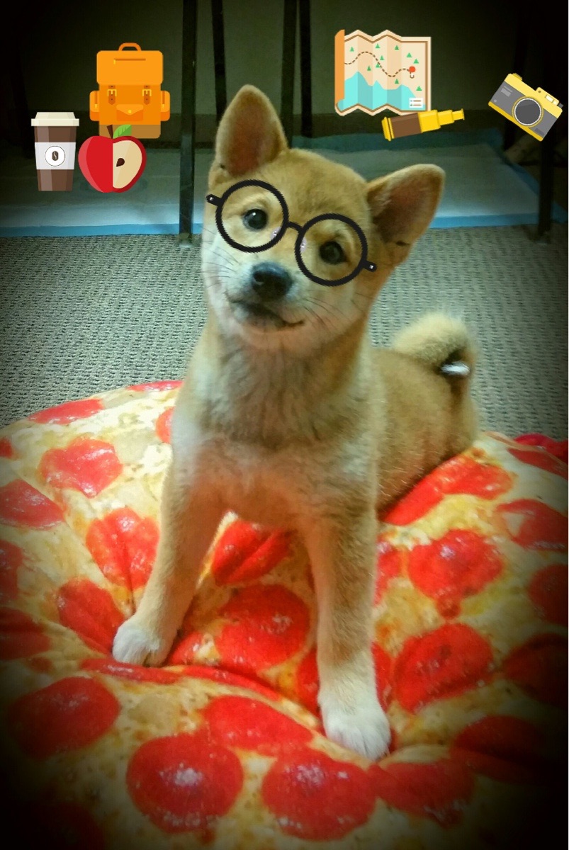 寒光乍现，东决关键战之夜，伊萨克利刃出鞘无人可挡