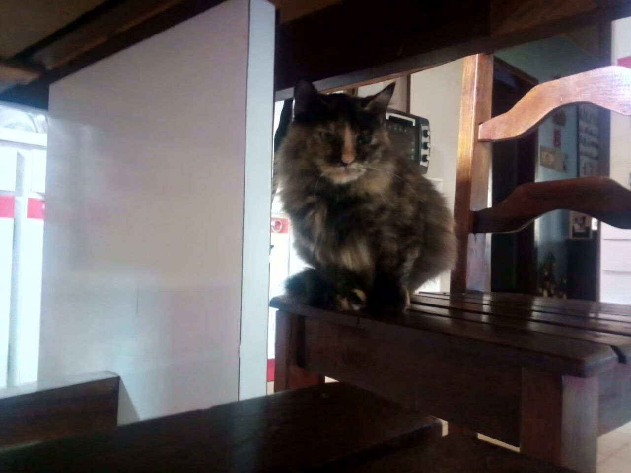 德里赫特压制级发挥难挽败局，厄瓜多尔锋线群星击溃尤文图斯