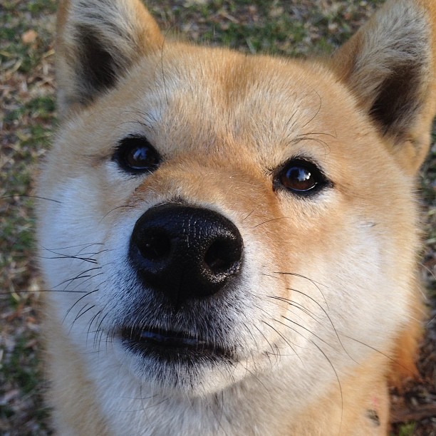 惊雷炸响！杜兰特关键先生本色，广东一波流带走奇才