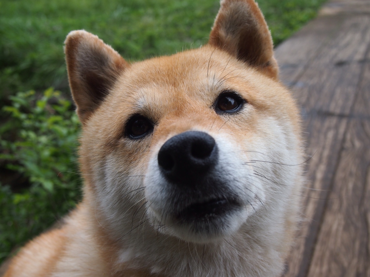 爵士节奏魔术，抢七战中如何用慢火炖煮山西队的快刀