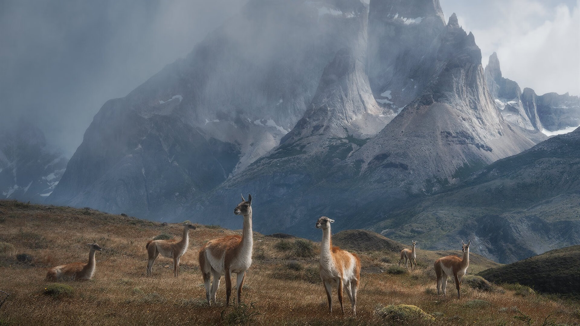跨洲双城记，广厦碾压吉林显统治力，拉文在英超争冠时刻接管比赛