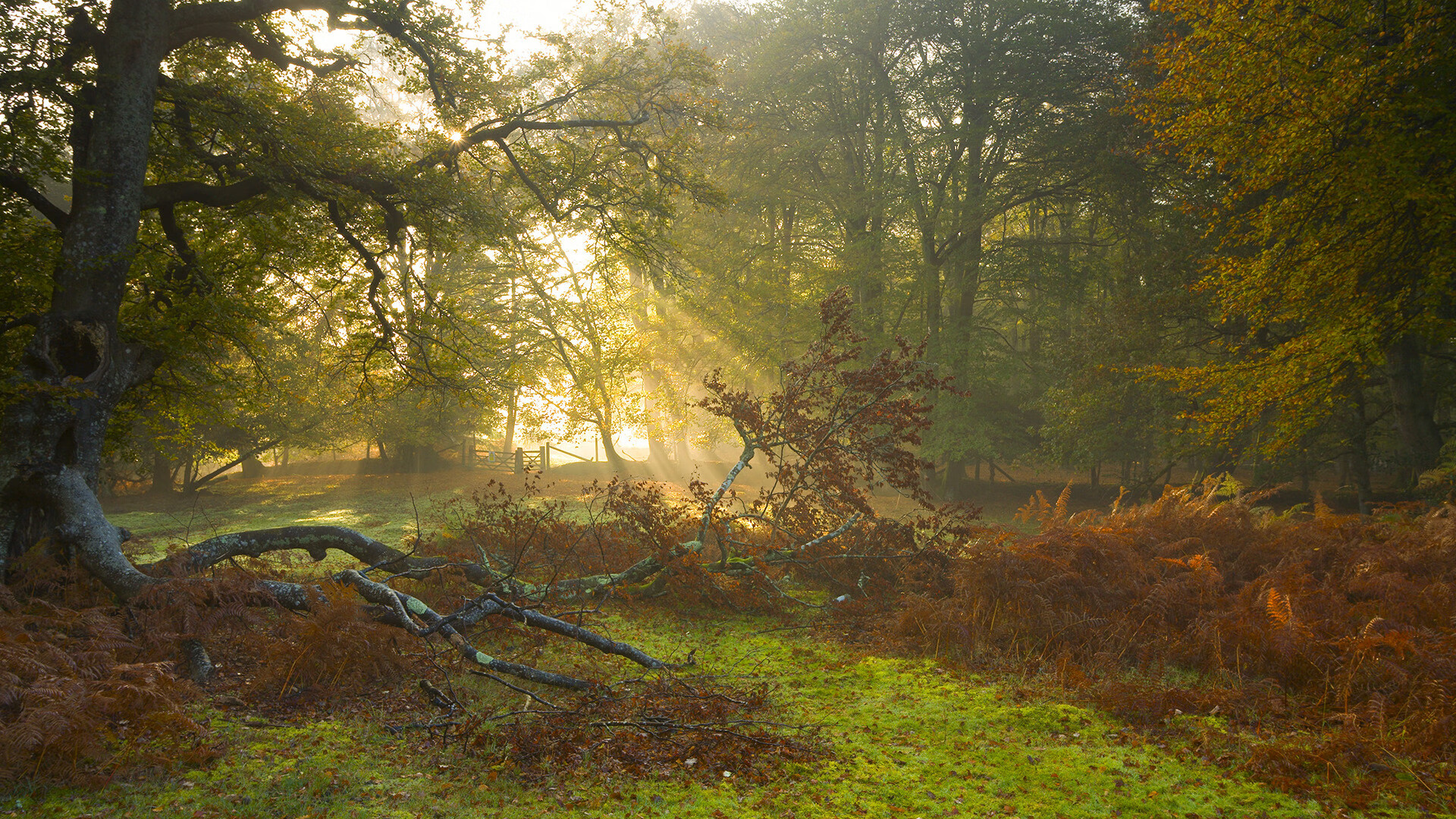 终结与接管，当球星决定比赛胜负的两种方式