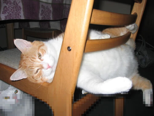 当风笛遇见众神,库尔图瓦在神话战场上,守护着最后的法则