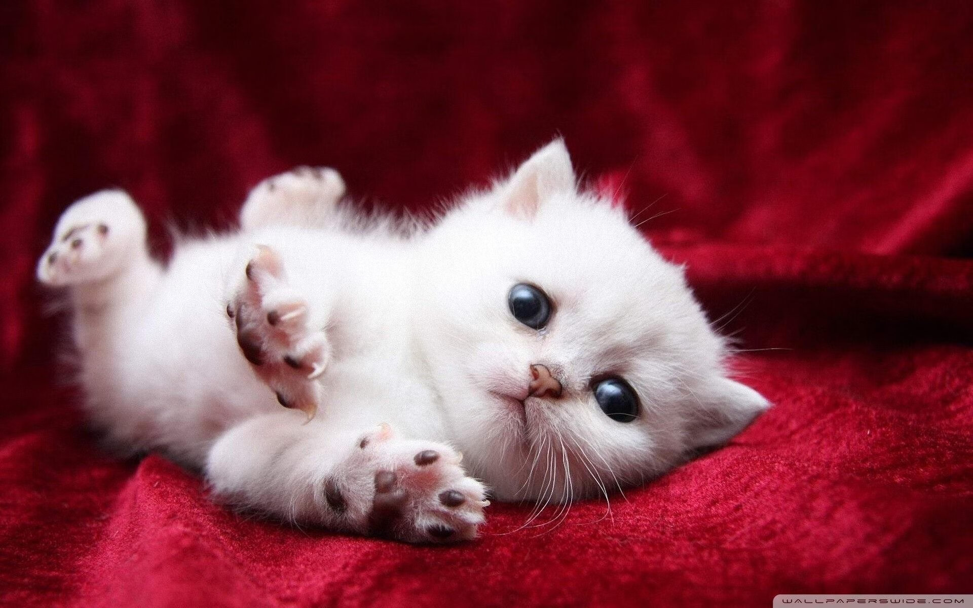 中场魔术师末节觉醒，厄德高一战封神助皇马压哨夺胜