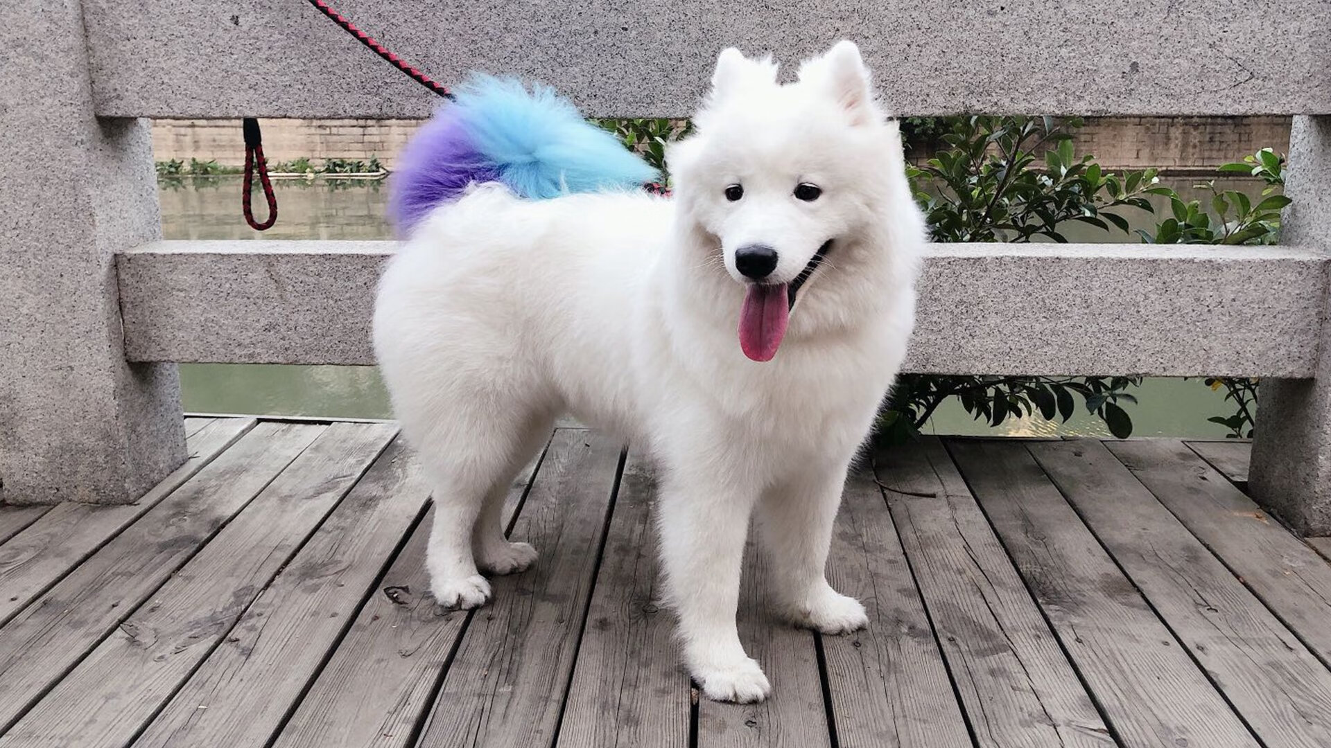 南美铁骑绝境逢生!乌拉圭补时压哨一击,荡气回肠抢七战掀翻贝蒂斯