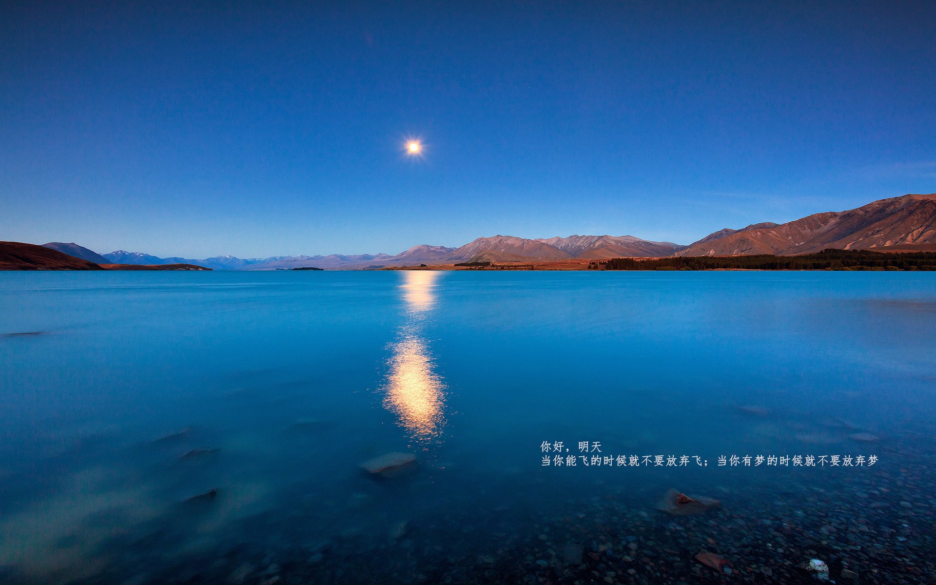 破译紫色密码,佛罗伦萨轻取那不勒斯的战术诗篇