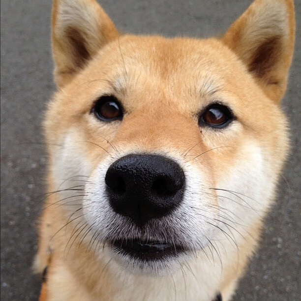 贝恩灼穿钢铁防线，灰熊铁蹄踏碎快船晋级之路