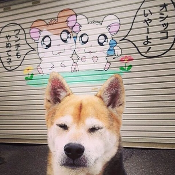 舞台之上，孤星与银河，詹姆斯统治力与马刺绝杀背后的篮球哲学