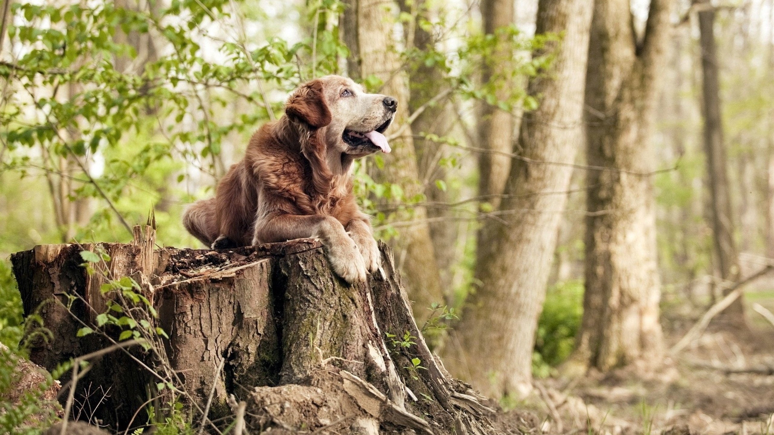 皮克一夫当关！哥伦比亚3-0横扫法国，恐怖数据诠释何谓防线统治力