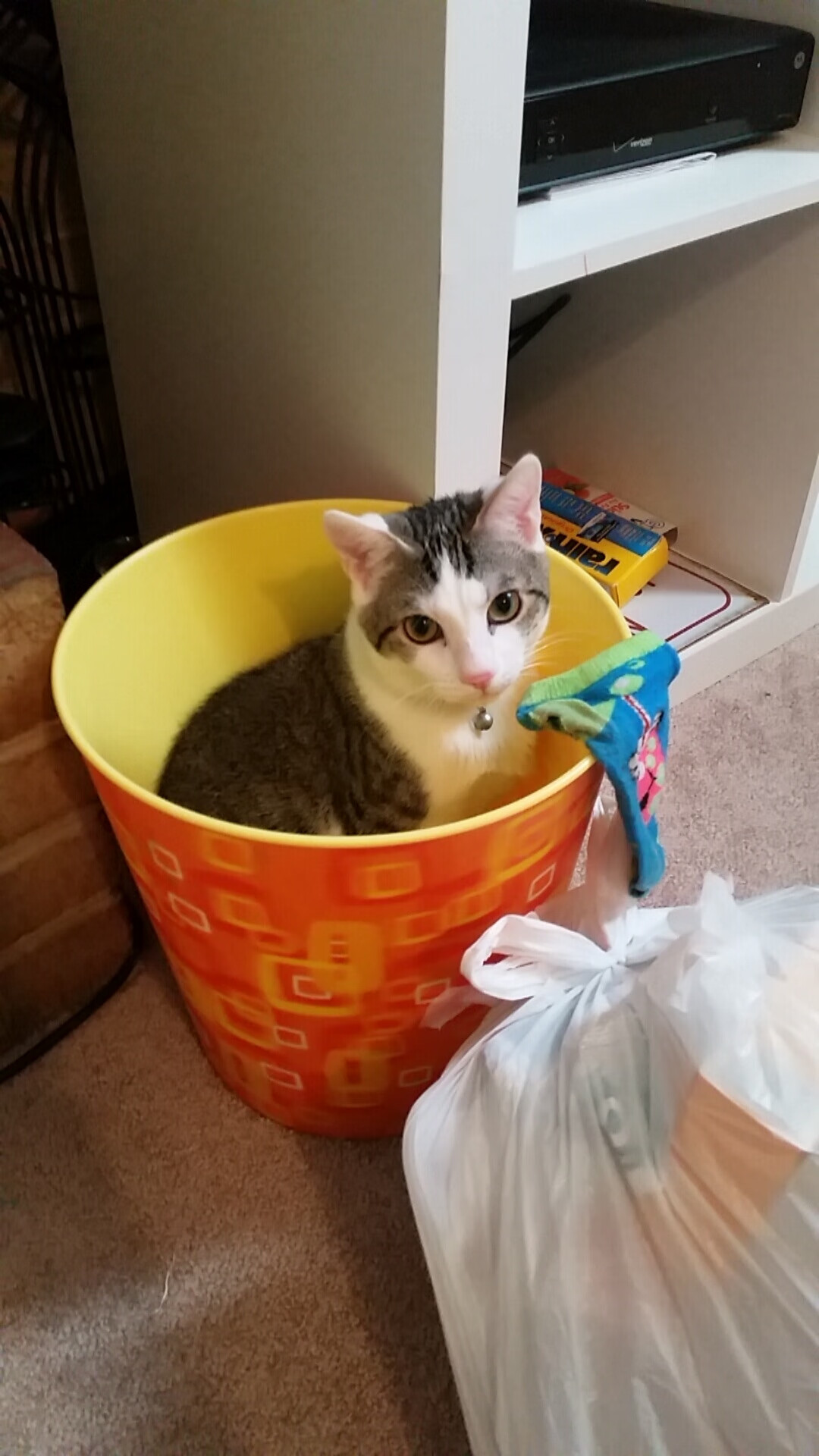 当布克降临伯纳乌，一个篮球幽灵如何打爆了足球的防线