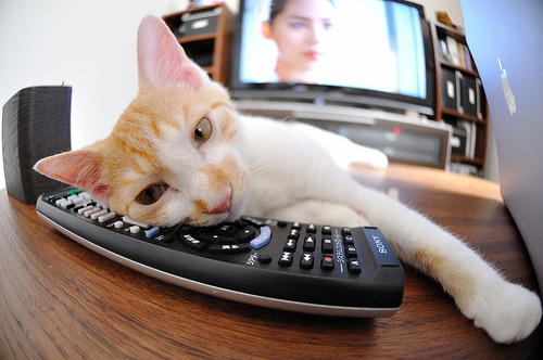 英格拉姆决胜时刻独取12分，开拓者正面击溃国王锁定季后赛席位