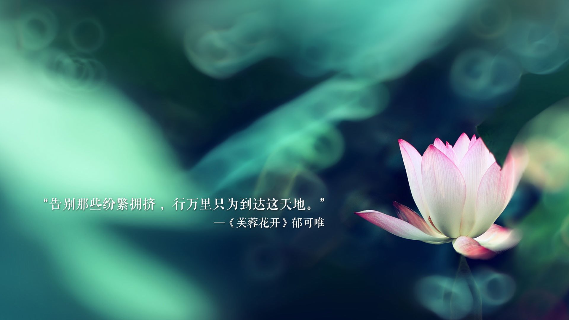中场大脑的华丽指挥，苏亚雷斯引领匈牙利压制捷克，完美诠释节奏掌控的艺术